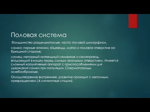 Половая система большинство раздельнополые. часто: половой диморфизм. самка: парные яичники, яйцеводы,