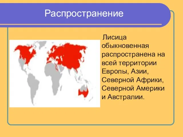 Распространение Лисица обыкновенная распространена на всей территории Европы, Азии, Северной Африки, Северной Америки и Австралии.