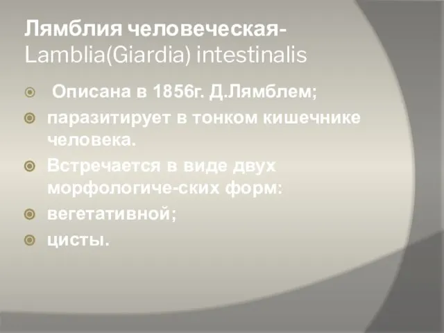 Лямблия человеческая- Lamblia(Giardia) intestinalis Описана в 1856г. Д.Лямблем; паразитирует в тонком