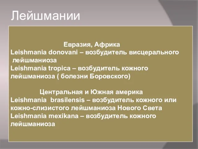 Лейшмании Евразия, Африка Leishmania donovani – возбудитель висцерального лейшманиоза Leishmania tropica