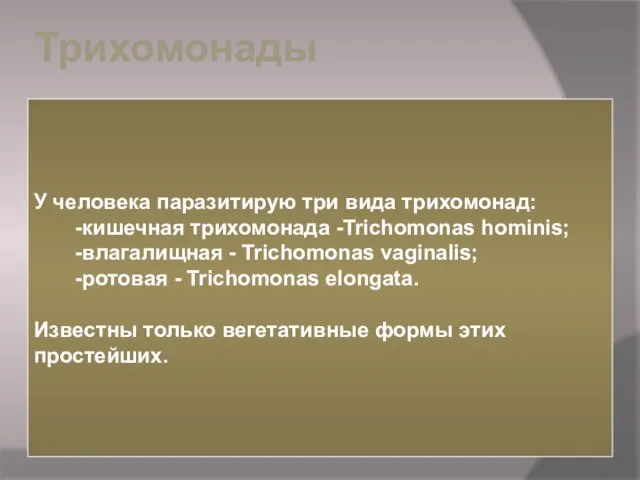 Трихомонады У человека паразитирую три вида трихомонад: -кишечная трихомонада -Trichomonas hominis;