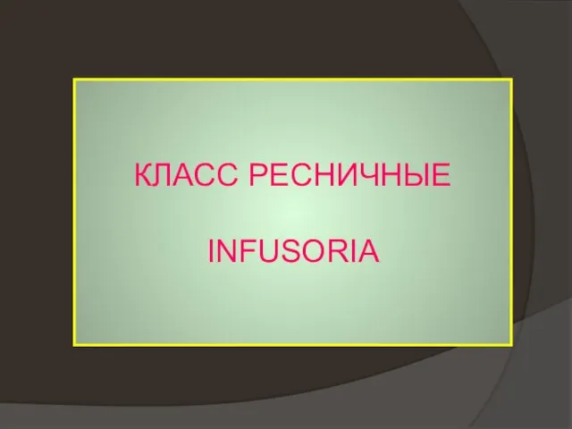 КЛАСС РЕСНИЧНЫЕ INFUSORIA