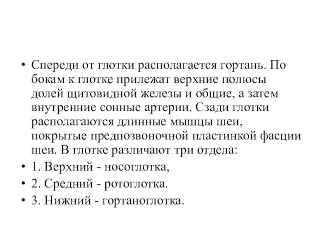 Спереди от глотки располагается гортань. По бокам к глотке прилежат верхние