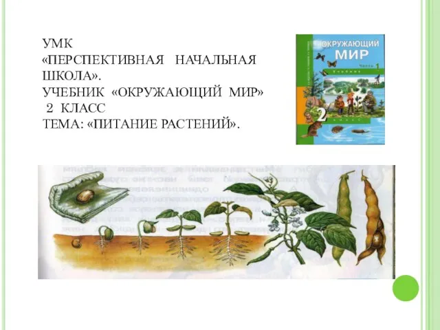 УМК «ПЕРСПЕКТИВНАЯ НАЧАЛЬНАЯ ШКОЛА». УЧЕБНИК «ОКРУЖАЮЩИЙ МИР» 2 КЛАСС ТЕМА: «ПИТАНИЕ РАСТЕНИЙ».