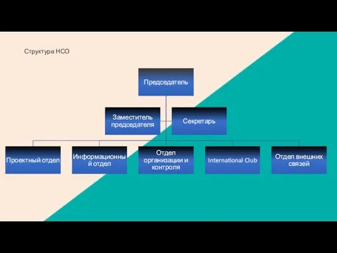 Структура НСО