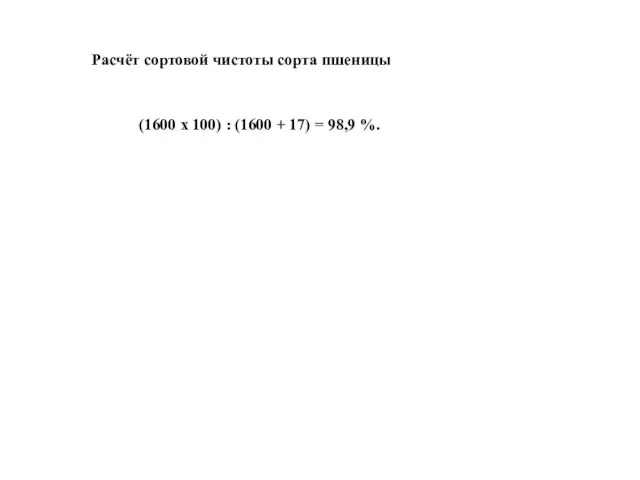 Расчёт сортовой чистоты сорта пшеницы (1600 х 100) : (1600 + 17) = 98,9 %.