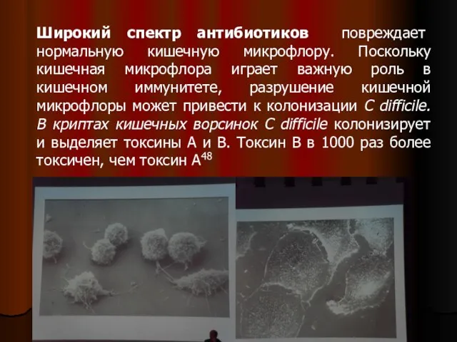 Широкий спектр антибиотиков повреждает нормальную кишечную микрофлору. Поскольку кишечная микрофлора играет