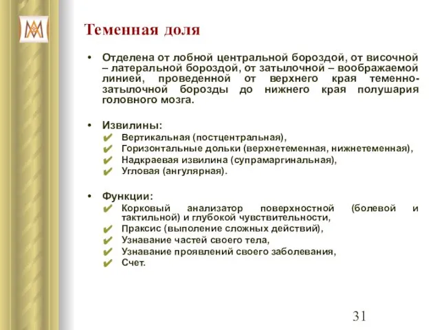 Теменная доля Отделена от лобной центральной бороздой, от височной – латеральной