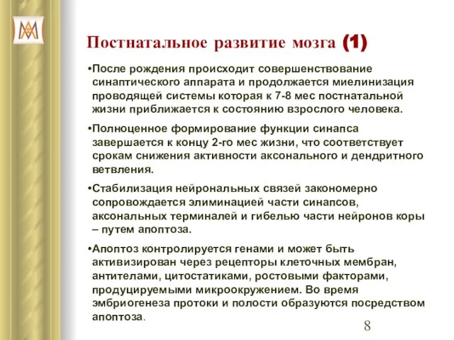 Постнатальное развитие мозга (1) После рождения происходит совершенствование синаптического аппарата и