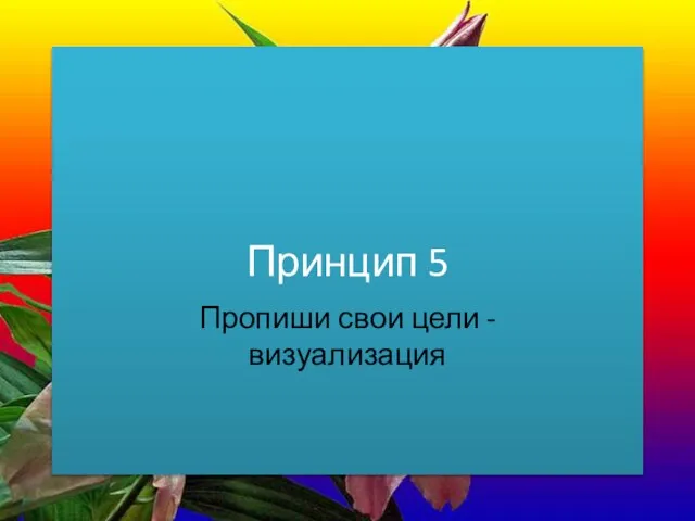 Принцип 5 Пропиши свои цели - визуализация