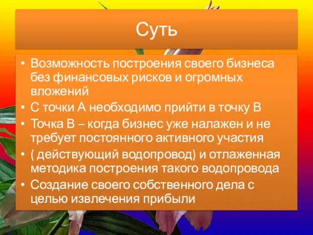 Суть Возможность построения своего бизнеса без финансовых рисков и огромных вложений