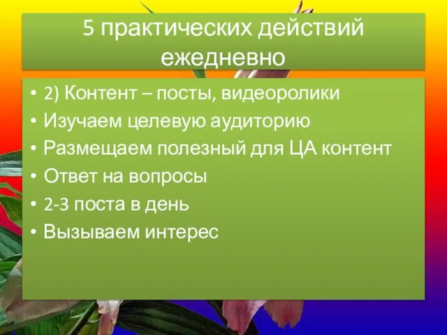 5 практических действий ежедневно 2) Контент – посты, видеоролики Изучаем целевую