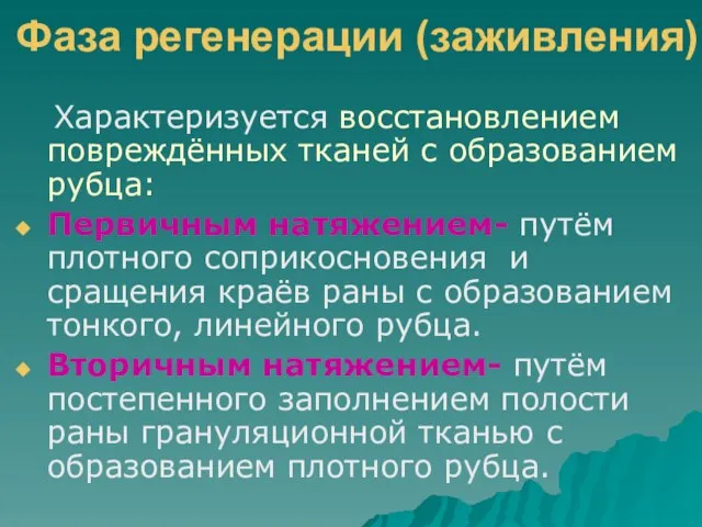 Фаза регенерации (заживления) Характеризуется восстановлением повреждённых тканей с образованием рубца: Первичным