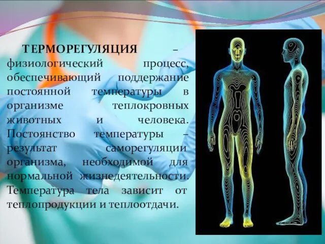 ТЕРМОРЕГУЛЯЦИЯ – физиологический процесс, обеспечивающий поддержание постоянной температуры в организме теплокровных