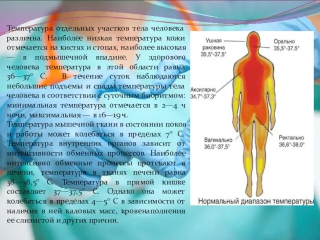 Температура отдельных участков тела человека различна. Наиболее низкая температура кожи отмечается