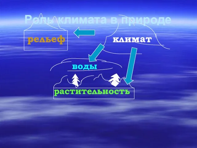 рельеф климат воды растительность Роль климата в природе