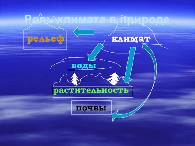 почвы рельеф климат воды растительность Роль климата в природе