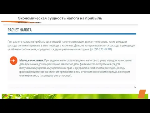 Экономическая сущность налога на прибыль организации