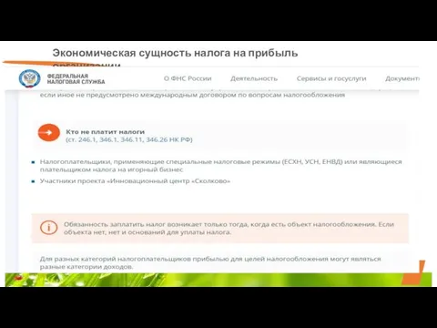 Экономическая сущность налога на прибыль организации