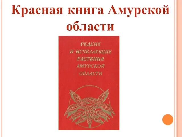 Красная книга Амурской области