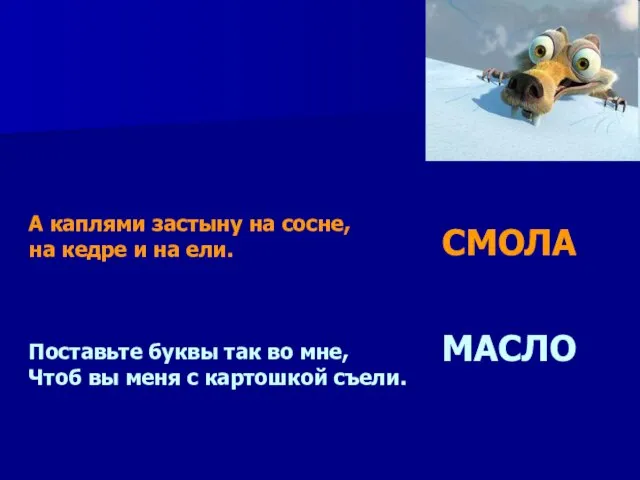 А каплями застыну на сосне, на кедре и на ели. Поставьте