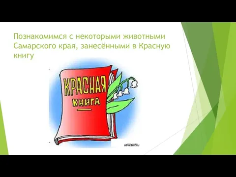 Познакомимся с некоторыми животными Самарского края, занесёнными в Красную книгу