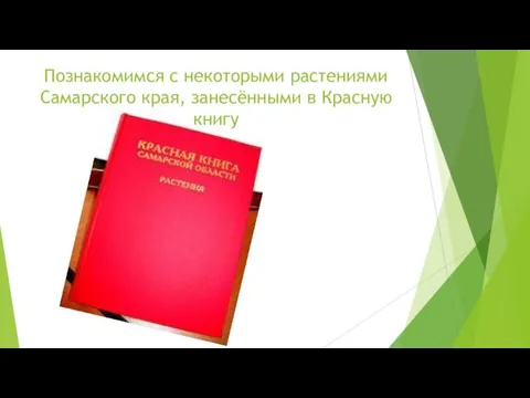 Познакомимся с некоторыми растениями Самарского края, занесёнными в Красную книгу