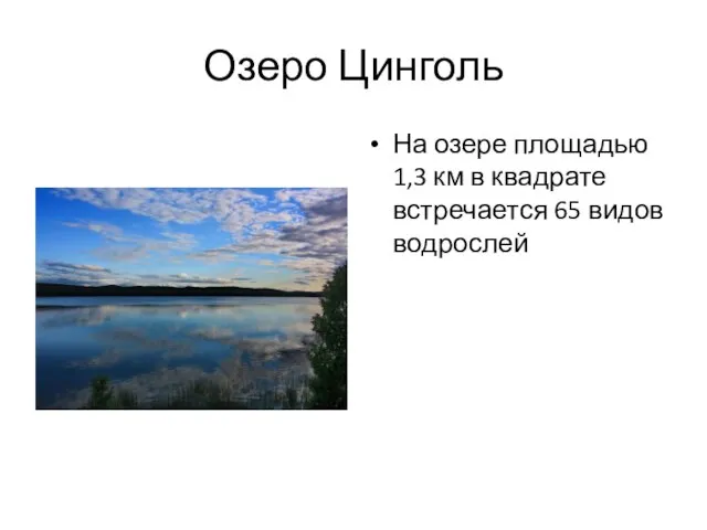 Озеро Цинголь На озере площадью 1,3 км в квадрате встречается 65 видов водрослей