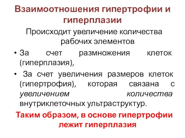 Взаимоотношения гипертрофии и гиперплазии Происходит увеличение количества рабочих элементов За счет