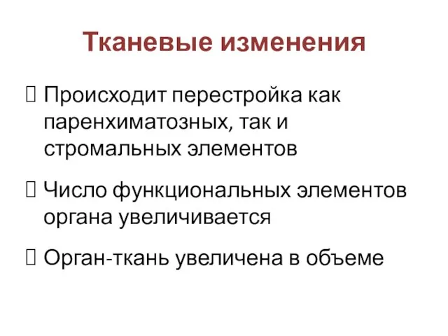 Тканевые изменения Происходит перестройка как паренхиматозных, так и стромальных элементов Число