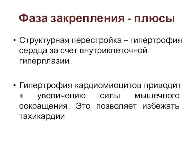 Фаза закрепления - плюсы Структурная перестройка – гипертрофия сердца за счет