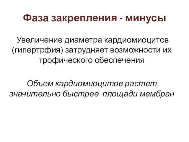 Фаза закрепления - минусы Увеличение диаметра кардиомиоцитов (гипертрфия) затрудняет возможности их