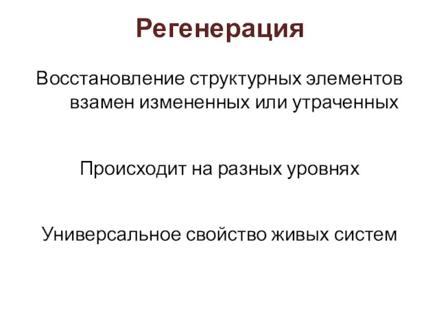 Регенерация Восстановление структурных элементов взамен измененных или утраченных Происходит на разных уровнях Универсальное свойство живых систем