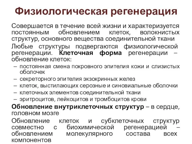 Совершается в течение всей жизни и характеризуется постоянным обновлением клеток, волокнистых