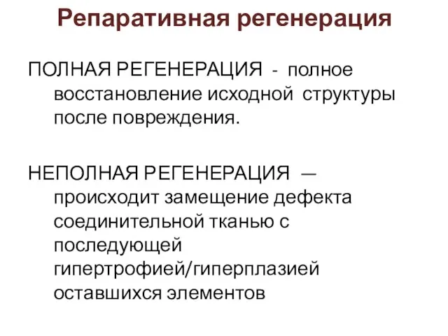 Репаративная регенерация ПОЛНАЯ РЕГЕНЕРАЦИЯ - полное восстановление исходной структуры после повреждения.