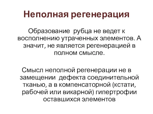 Неполная регенерация Образование рубца не ведет к восполнению утраченных элементов. А