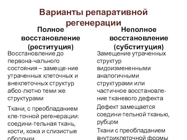 Варианты репаративной регенерации Полное восстановление (реституция) Восстановление до первона-чального состояния –