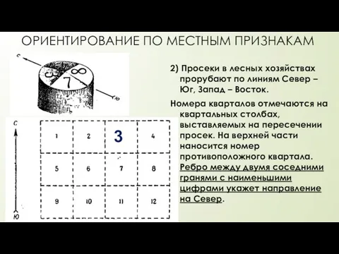 ОРИЕНТИРОВАНИЕ ПО МЕСТНЫМ ПРИЗНАКАМ 2) Просеки в лесных хозяйствах прорубают по