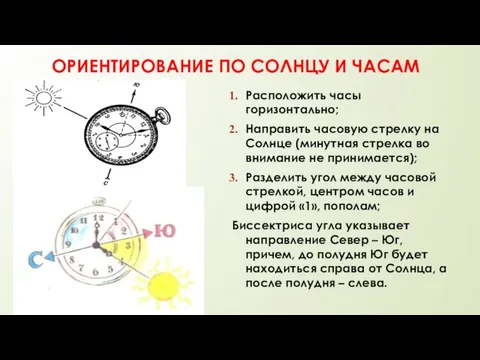 ОРИЕНТИРОВАНИЕ ПО СОЛНЦУ И ЧАСАМ Расположить часы горизонтально; Направить часовую стрелку