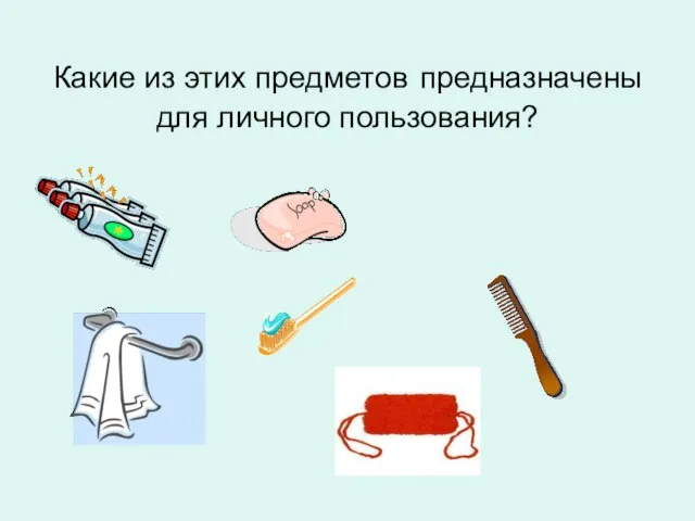 Какие из этих предметов предназначены для личного пользования?