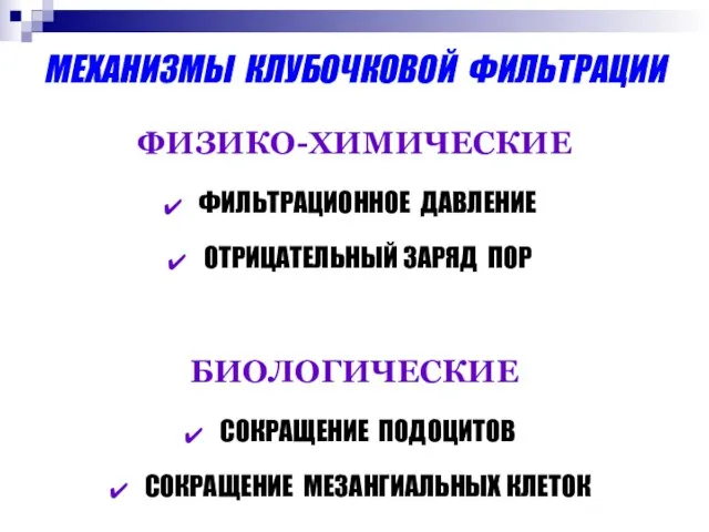 МЕХАНИЗМЫ КЛУБОЧКОВОЙ ФИЛЬТРАЦИИ ФИЗИКО-ХИМИЧЕСКИЕ ФИЛЬТРАЦИОННОЕ ДАВЛЕНИЕ ОТРИЦАТЕЛЬНЫЙ ЗАРЯД ПОР БИОЛОГИЧЕСКИЕ СОКРАЩЕНИЕ ПОДОЦИТОВ СОКРАЩЕНИЕ МЕЗАНГИАЛЬНЫХ КЛЕТОК