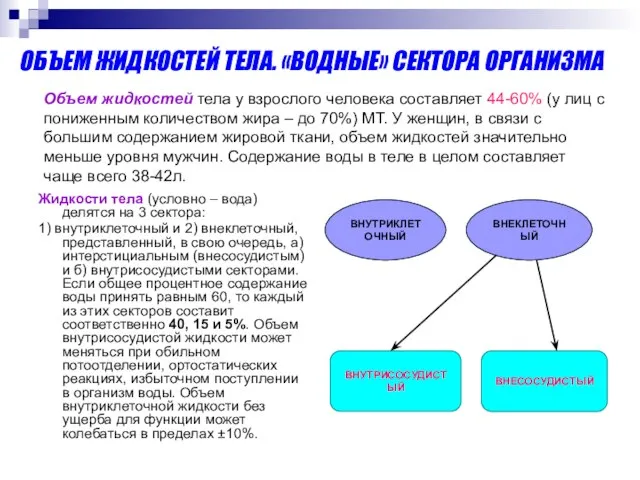 ОБЪЕМ ЖИДКОСТЕЙ ТЕЛА. «ВОДНЫЕ» СЕКТОРА ОРГАНИЗМА Жидкости тела (условно – вода)