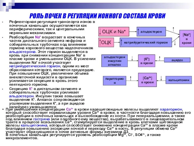 РОЛЬ ПОЧЕК В РЕГУЛЯЦИИ ИОННОГО СОСТАВА КРОВИ Рефлекторная регуляция транспорта ионов