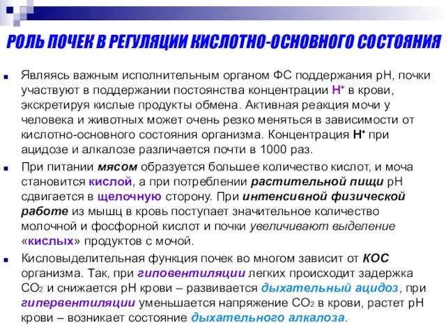 РОЛЬ ПОЧЕК В РЕГУЛЯЦИИ КИСЛОТНО-ОСНОВНОГО СОСТОЯНИЯ Являясь важным исполнительным органом ФС