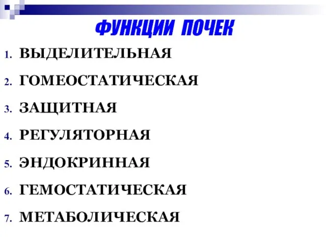 ФУНКЦИИ ПОЧЕК ВЫДЕЛИТЕЛЬНАЯ ГОМЕОСТАТИЧЕСКАЯ ЗАЩИТНАЯ РЕГУЛЯТОРНАЯ ЭНДОКРИННАЯ ГЕМОСТАТИЧЕСКАЯ МЕТАБОЛИЧЕСКАЯ