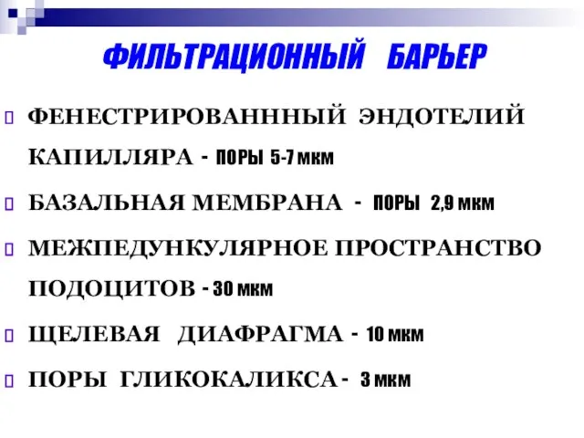 ФИЛЬТРАЦИОННЫЙ БАРЬЕР ФЕНЕСТРИРОВАНННЫЙ ЭНДОТЕЛИЙ КАПИЛЛЯРА - ПОРЫ 5-7 мкм БАЗАЛЬНАЯ МЕМБРАНА