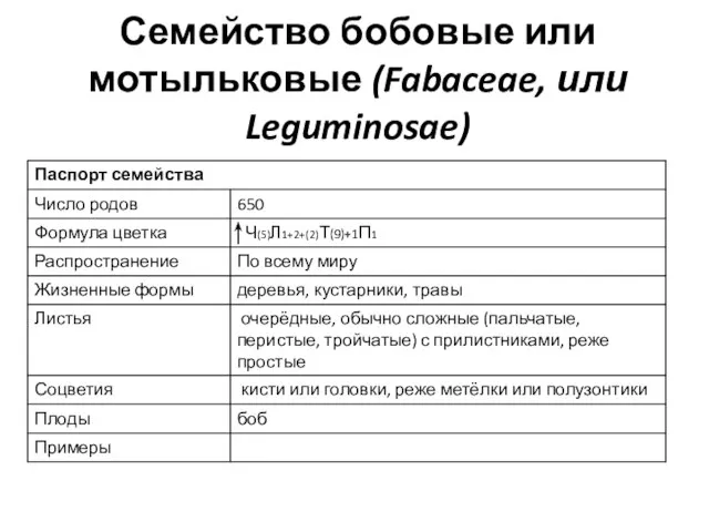 Семейство бобовые или мотыльковые (Fabaceae, или Leguminosae)