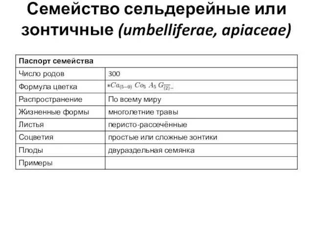 Семейство сельдерейные или зонтичные (umbelliferae, apiaceae)