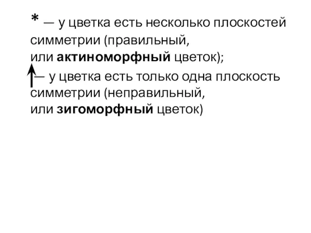 * — у цветка есть несколько плоскостей симметрии (правильный, или актиноморфный