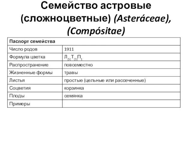 Семейство астровые (сложноцветные) (Asteráceae), (Compósitae)